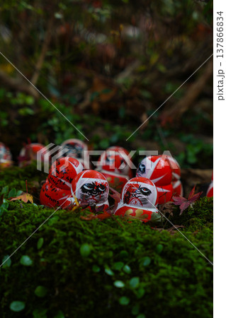 苔の上に置かれたダルマ 苔の上に置かれたダルマ 137866834