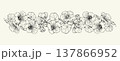 Hand drawn vintage botanical horizontal border with nasturtium flowers and leaves. Black and white line art vector illustration isolated on white background. For wedding invitations, packaging. 137866952