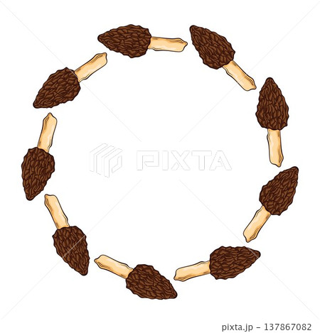 Circular wreath with morel mushroom in cartoon style. Decorative forest food composition isolated on white background for menu design, organic packaging and culinary theme. 137867082