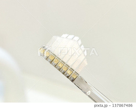 歯ブラシ 歯ブラシ 137867486