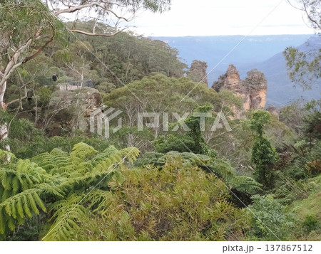 森に浮かぶ岩峰 ― Giant Stairwayへ続く緑の回廊 森に浮かぶ岩峰 ― Giant Stairwayへ続く緑の回廊 137867512