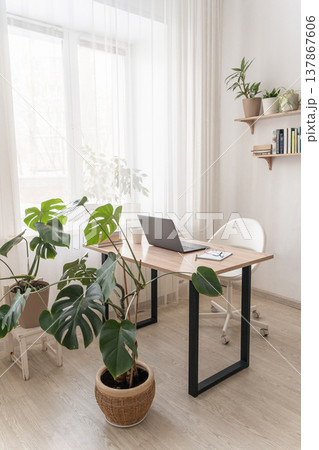 Minimalist study room featuring wooden desk, laptop, white ergonomic chair, green house plants, creating remote work environment 137867606