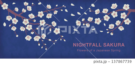 夜桜_水彩バナー 137867739