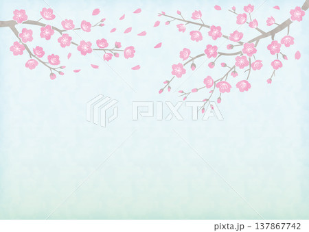 桜_淡色青空ポスター 桜_淡色青空ポスター 137867742