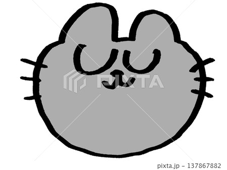 灰色の猫の顔の素材 137867882