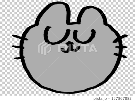 灰色の猫の顔の素材 137867882