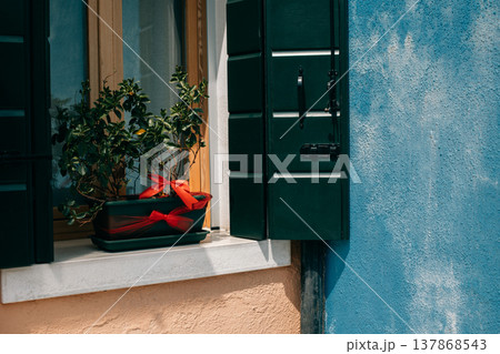 Beautiful plant in a pot on the window, Burano, Italy. Beautiful plant in a pot on the window, Burano, Italy. 137868543