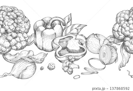 Seamless border of cauliflower, bell pepper and onionVector ink styled handmade illustration. For packaging design, cards, cover, prints, product labels and fabric. 137868592