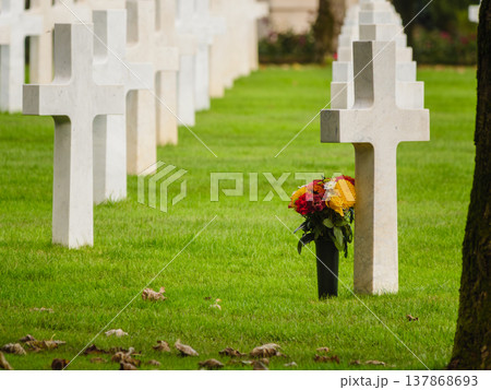 Crosses stand in a row as flowers sit at a grave in a cemetery where people remember their loved ones Crosses stand in a row as flowers sit at a grave in a cemetery where people remember their loved ones 137868693