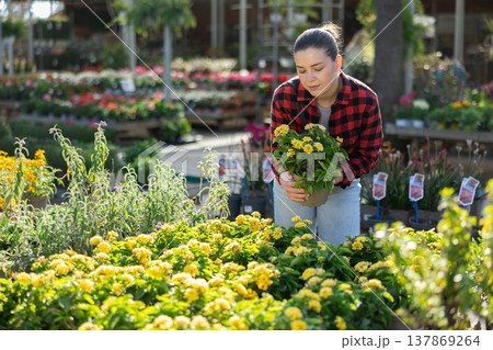 Woman customer with product in hands at fair chooses potted plant lantana to decorate interior Woman customer with product in hands at fair chooses potted plant lantana to decorate interior 137869264