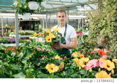 Young man holding hibiscus in pot 137869322
