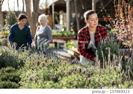 Young woman choosing lavender in flower shop Young woman choosing lavender in flower shop 137869323