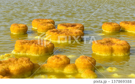 エチオピア・ダロールの地熱プールに浮かぶ円形硫黄構造のクローズアップ 137869388