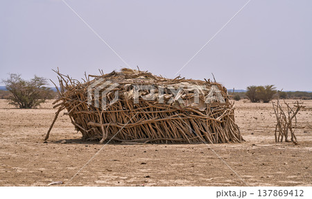 エチオピア・アファール地方の乾燥地に建つ伝統的な遊牧民の住居 エチオピア・アファール地方の乾燥地に建つ伝統的な遊牧民の住居 137869412