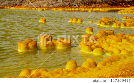 エチオピア・ダロールの酸性湖に現れる硫黄形成物 エチオピア・ダロールの酸性湖に現れる硫黄形成物 137869417