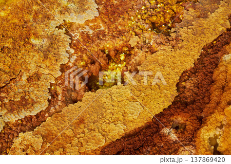 エチオピア・ダロールの抽象的な硫黄テクスチャと鉱物地殻パターン エチオピア・ダロールの抽象的な硫黄テクスチャと鉱物地殻パターン 137869420