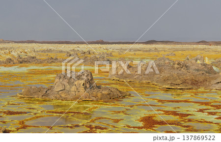 エチオピア・ダロールの広大な鉱物平原と岩石露頭 エチオピア・ダロールの広大な鉱物平原と岩石露頭 137869522