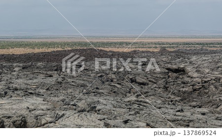 エチオピア北東部の乾燥平原を望む溶岩原 エチオピア北東部の乾燥平原を望む溶岩原 137869524