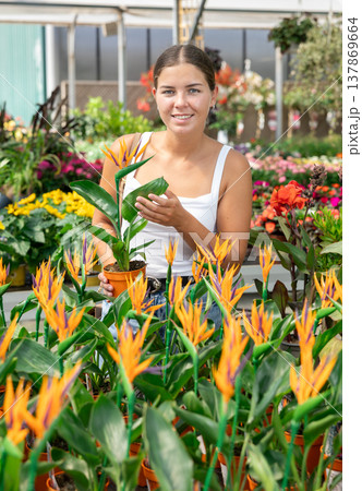 Girl walks through exhibition of ornamental plants, examines strelizia in showcase Girl walks through exhibition of ornamental plants, examines strelizia in showcase 137869664