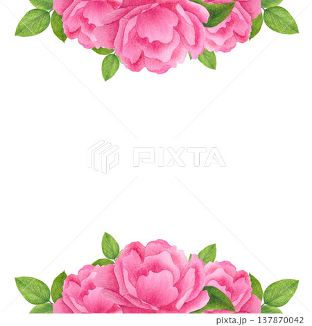 A horizontal floral border featuring large pink garden roses with green leaves, arranged at the top and bottom, leaving a blank space for text in the center, isolated on a white background. Watercolor A horizontal floral border featuring large pink garden roses with green leaves, arranged at the top and bottom, leaving a blank space for text in the center, isolated on a white background. Watercolor 137870042