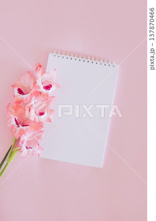 Beautiful pink Gladiolus flower and a notebook with blank page on a pink background. Beautiful pink Gladiolus flower and a notebook with blank page on a pink background. 137870466