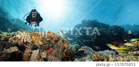 Scuba Diver Swimming in Deep Sea with Sunrays and Beautiful Coral Reef with Colorful Fishes 137870853