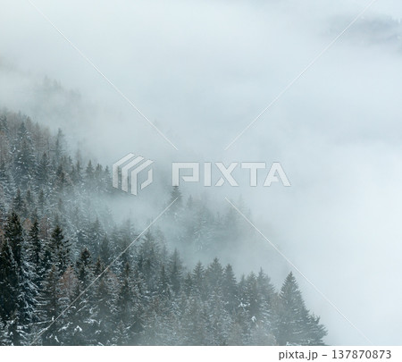 Aerial View of Winter Mountain Forest with Clouds Aerial View of Winter Mountain Forest with Clouds 137870873