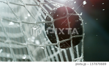 An ice hockey puck hitting the back of the net as it scores a goal 137870889