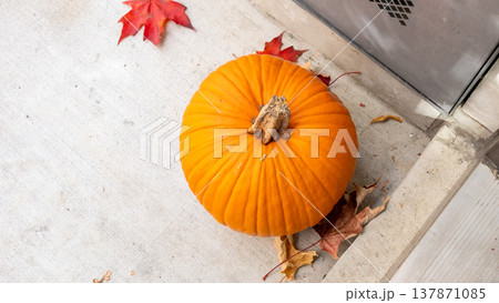 Bright orange pumpkin placed on concrete surface surrounded by fallen red and yellow autumn leaves near a building entrance Bright orange pumpkin placed on concrete surface surrounded by fallen red and yellow autumn leaves near a building entrance 137871085