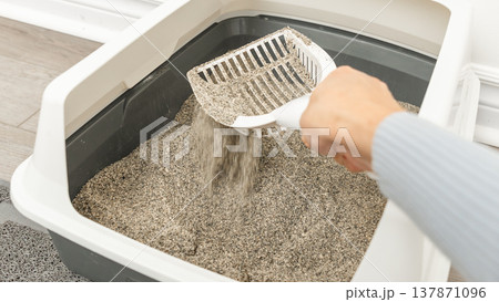 Hand holding a litter scoop removing cat litter from a gray plastic litter box placed on a light-colored floor in a home setting Hand holding a litter scoop removing cat litter from a gray plastic litter box placed on a light-colored floor in a home setting 137871096