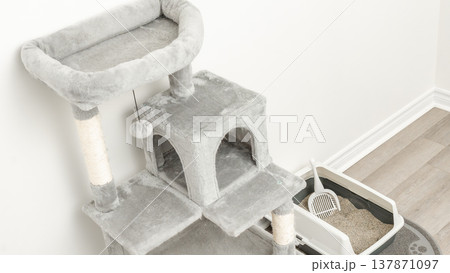 Cat tree with scratching posts and an odor-free litter box in a modern indoor setting featuring light-colored flooring and walls 137871097