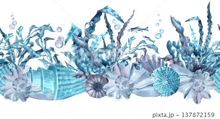 A seamless horizontal border of blue, and gray seashells and sea urchins with seaweed, fish, and urchins, hand-drawn in watercolor on an isolated background. Simple clip art of underwater objects. 137872159