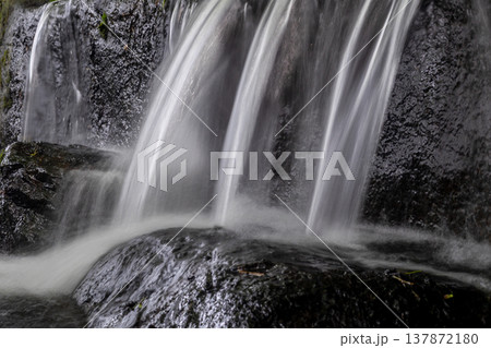 岩を潤す新緑の小さな滝 137872180