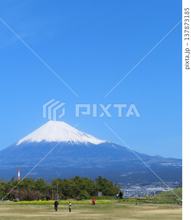 富士山を望む公園で遊ぶ人々 137873185