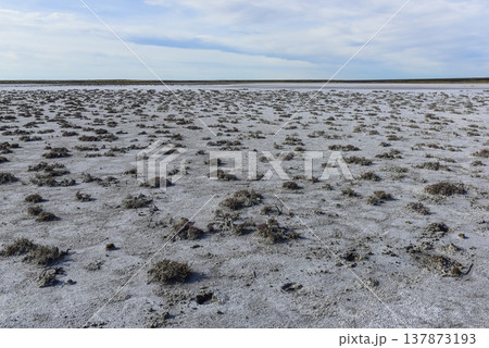 Salty soil in a dry lagoon, in the south of the province of La Pampa, Patagonia, Argentina. Salty soil in a dry lagoon, in the south of the province of La Pampa, Patagonia, Argentina. 137873193