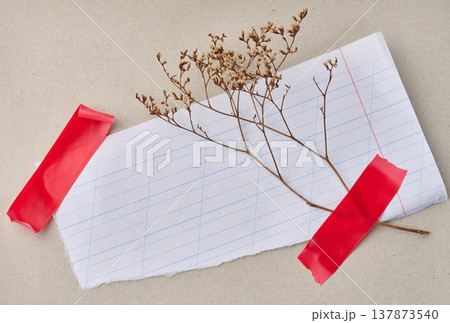 A torn sheet of lined paper is taped with red tape on a gray paper background, a dry plant branch 137873540