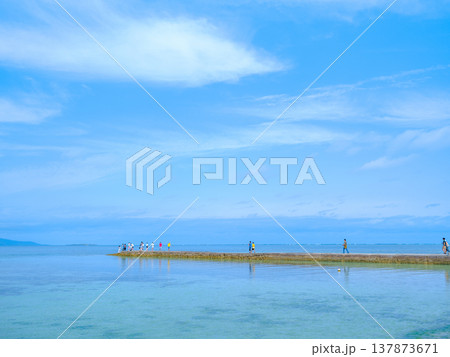 竹富島の西桟橋 竹富島の西桟橋 137873671