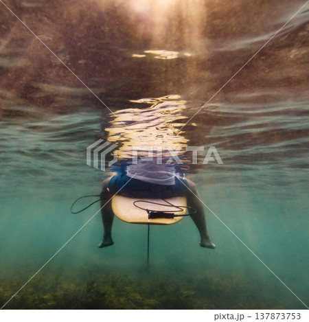 Surfer Anticipates Wave, Athlete Watches Upcoming Swell Patiently Beneath Waves Surfer Anticipates Wave, Athlete Watches Upcoming Swell Patiently Beneath Waves 137873753