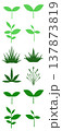 シンプルな草のイラストセット 137873819