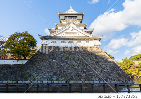 秋の福岡県北九州市　紅葉の小倉城　天守 137873855