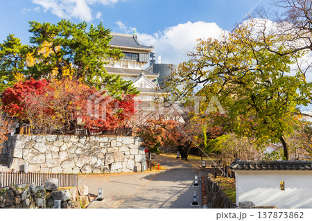 秋の福岡県北九州市 紅葉の小倉城 天守 秋の福岡県北九州市 紅葉の小倉城 天守 137873862