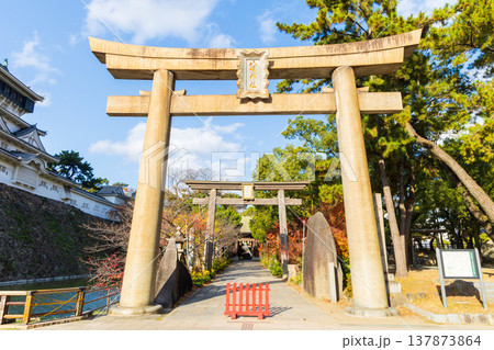 秋の福岡県北九州市 紅葉の小倉祇園八坂神社 秋の福岡県北九州市 紅葉の小倉祇園八坂神社 137873864