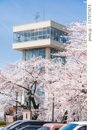 「青森県」満開の桜と舘鼻公園の風景　八戸市 137873874