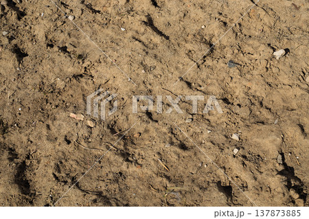 Top-down view of sandy ground dried after rain. Wet land after rain. 137873885
