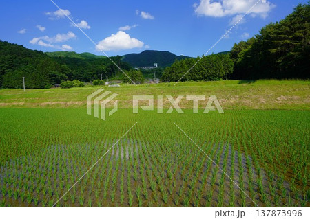大滝根山と麓の田んぼ 137873996