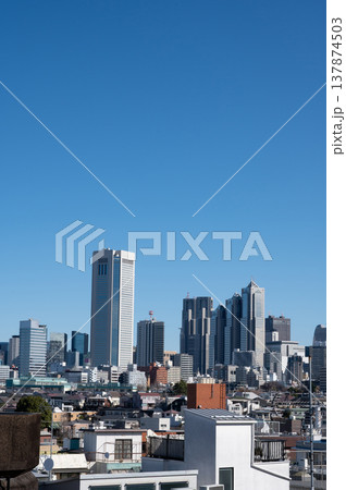 高層ビルが林立する新宿の風景 高層ビルが林立する新宿の風景 137874503