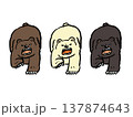 威嚇しているクマのイラストセット 137874643