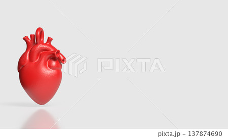 Realistic Red Human Heart Anatomy Medical 3D Model Realistic Red Human Heart Anatomy Medical 3D Model 137874690
