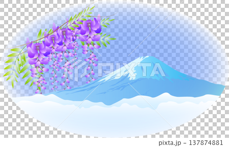 Wisteria blossoms and Mount Fuji scenery 137874881