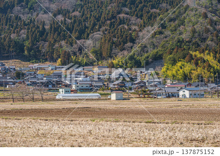 奥琵琶湖西浅井町の田園風景 岩熊集落 滋賀県長浜市 奥琵琶湖西浅井町の田園風景 岩熊集落 滋賀県長浜市 137875152